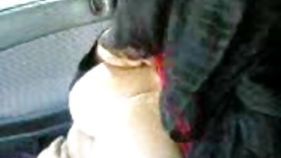 نرم مخلوق کو چوسنے اور سوراخ کرنے کی عادت ہو جاتی ہے۔